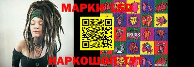 apvp Канаш